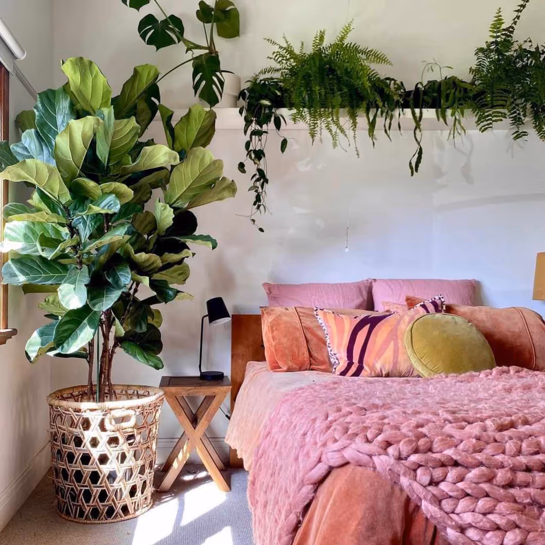 A white bedroom with a pink jumbo-knit throw and lots of houseplants.