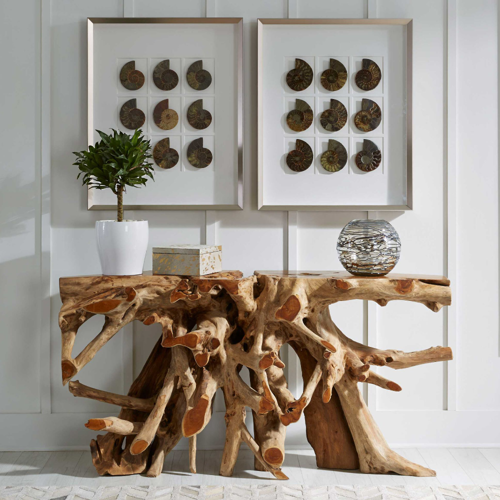 A tree root console table against a white panelled wall with framed pictures of seashells.