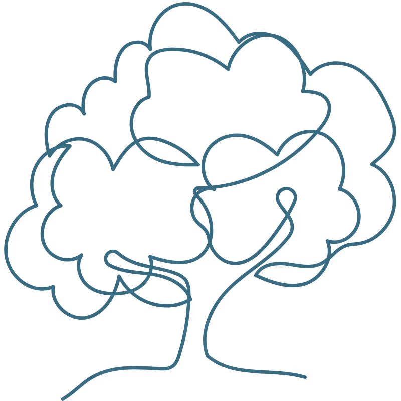 A line drawing of a tree.