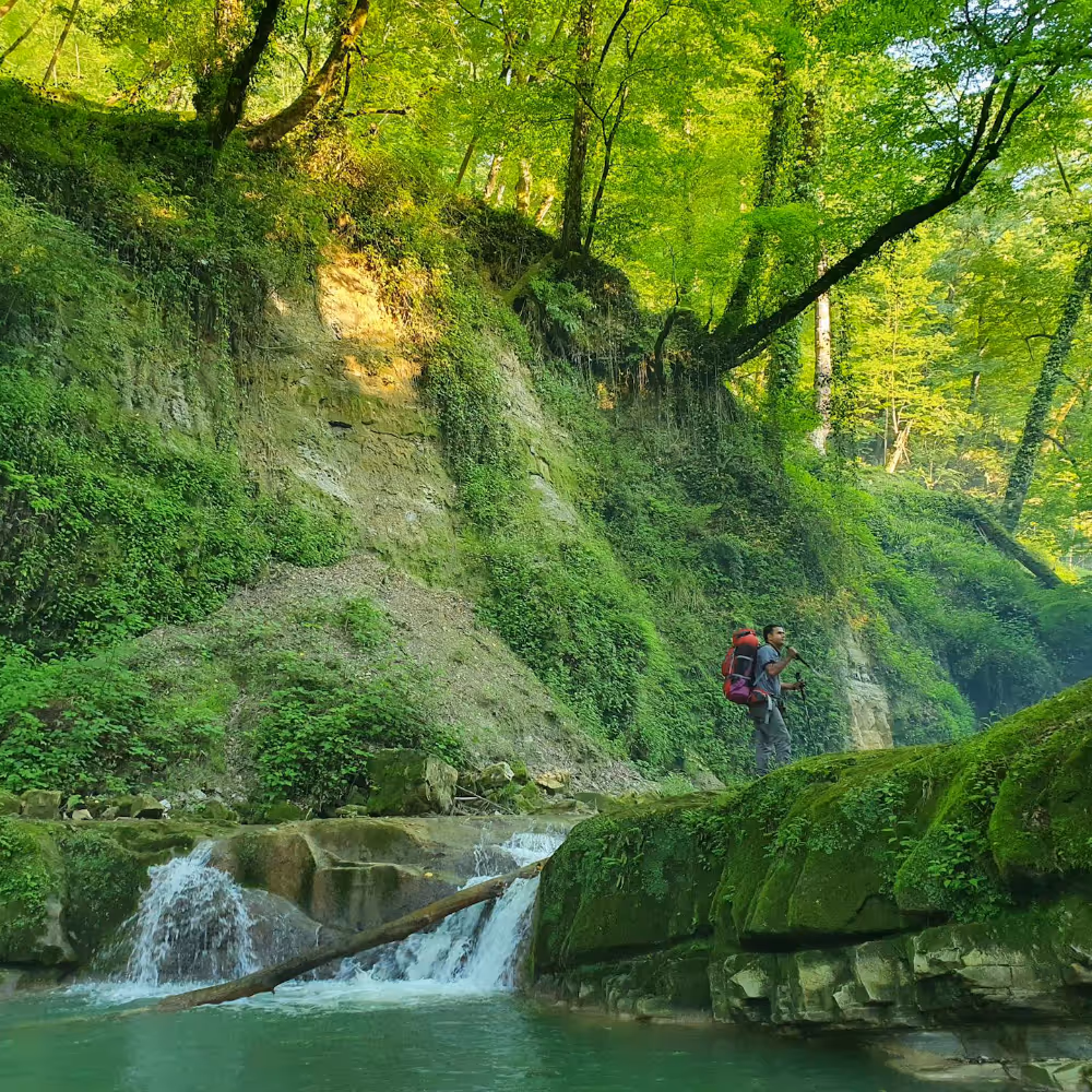 A man walking in a lush rainforest
