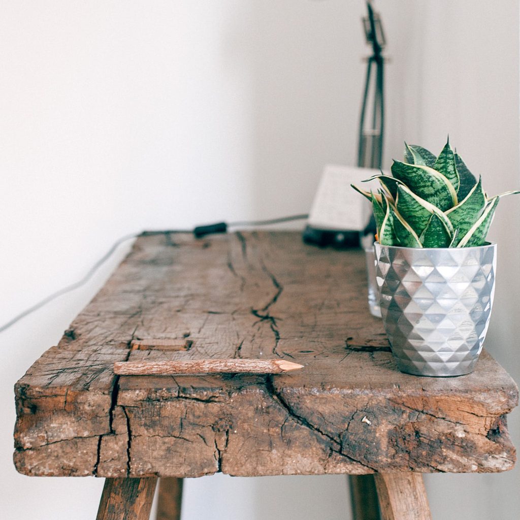 Rustic bench with aloe vera plant in pot