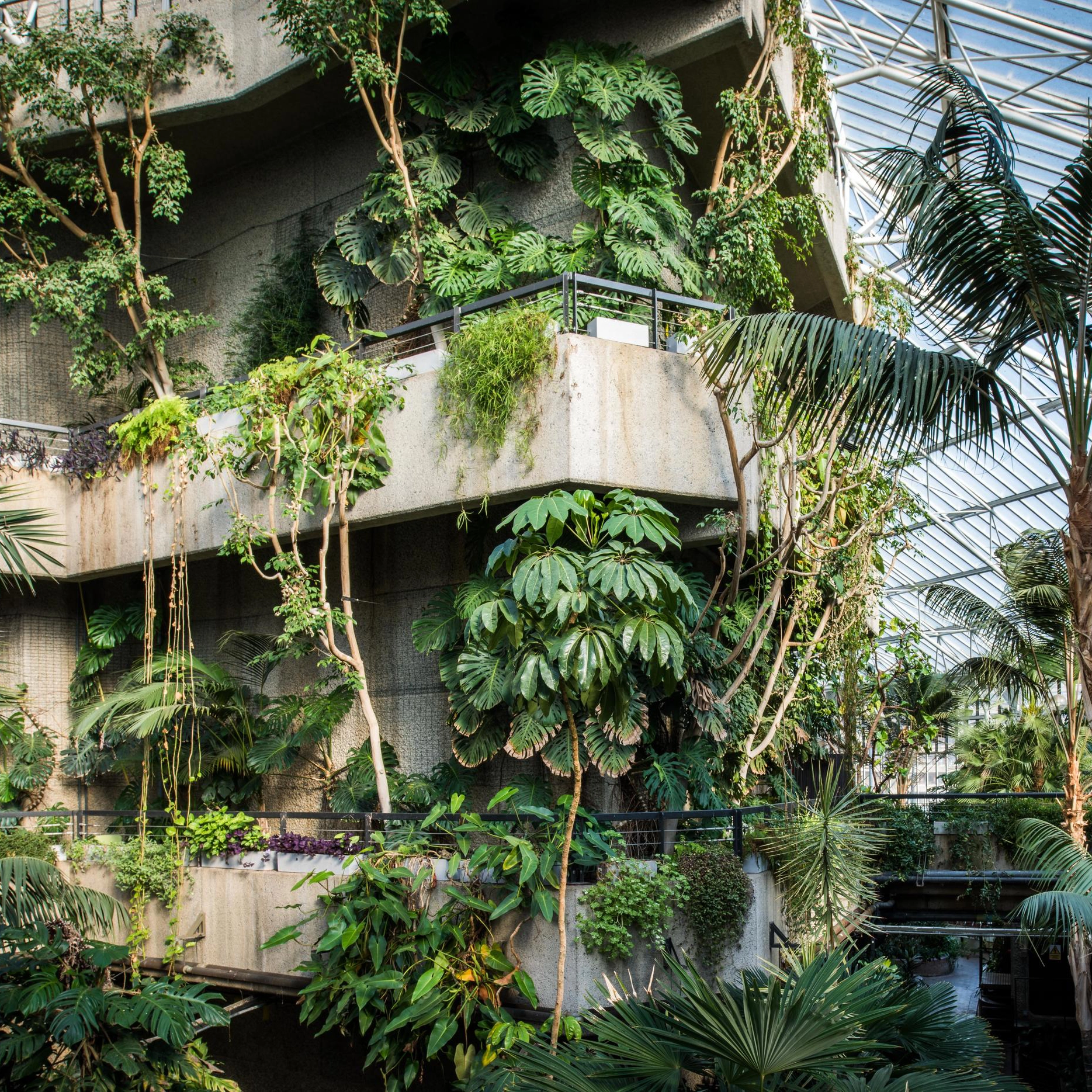 Lush planting smothering a modern concrete building