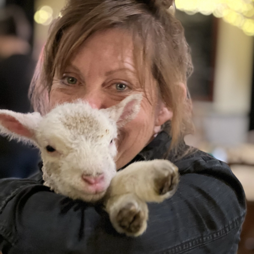 A lady holding a very young lamb