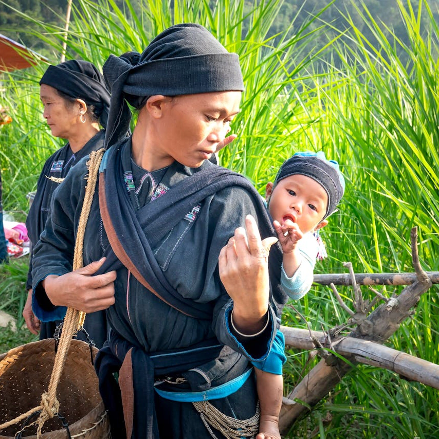 Asian female cotton picker carrying baby on back.