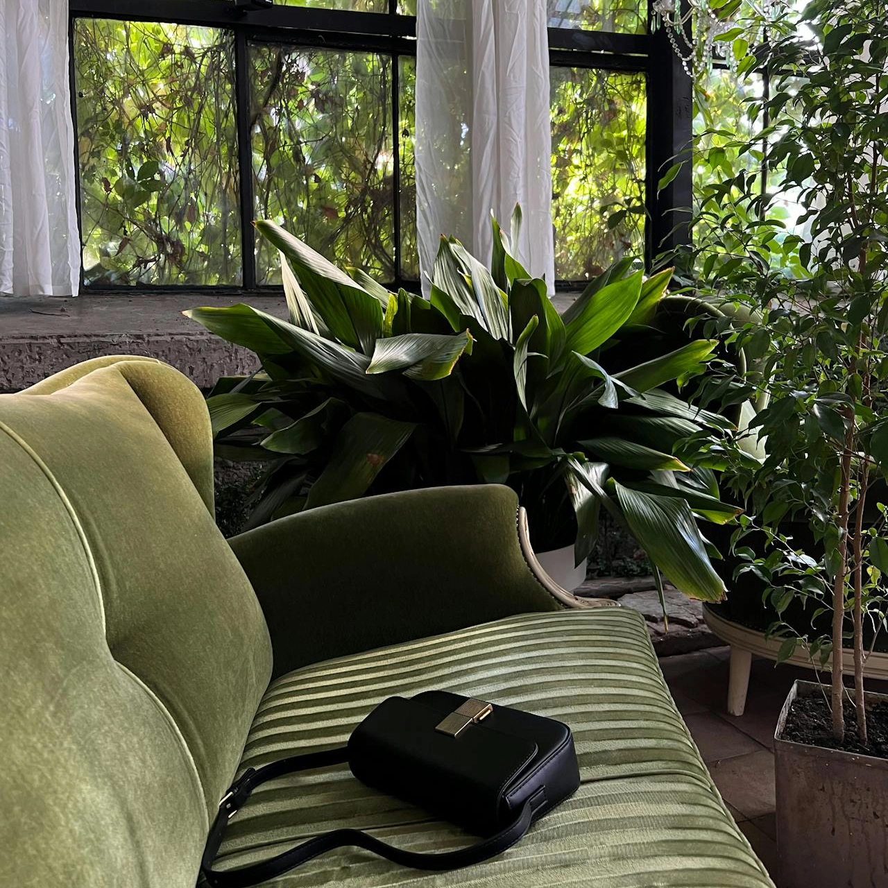 A green velvet sofa next to some houseplants, in front of a large window overlooking lush greenery outside